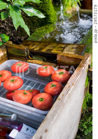 涼しげな昭和の風情 29573179