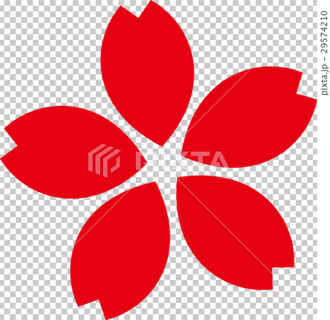 Sakura flower red Sakura flower red 29574210