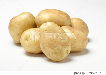 新じゃがいも 新じゃがいも 29575346