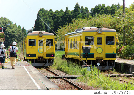 いすみ鉄道 菜の花列車 国吉駅 いすみ鉄道 菜の花列車 国吉駅 29575739