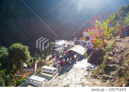 small home on the way to Annapurna base camp small home on the way to Annapurna base camp 29575889