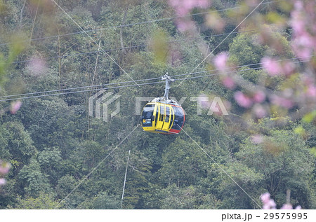日月潭 にちげつたん リーユエタン 29575995