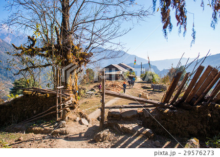 small home on the way to Annapurna base camp small home on the way to Annapurna base camp 29576273