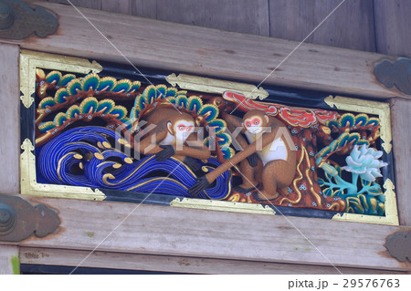 日光東照宮 神厩舎 猿の彫刻 日光東照宮 神厩舎 猿の彫刻 29576763