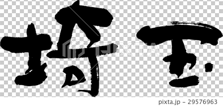 埼玉（０６） 29576963