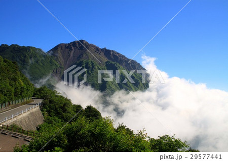 雲海の雲仙岳 雲海の雲仙岳 29577441