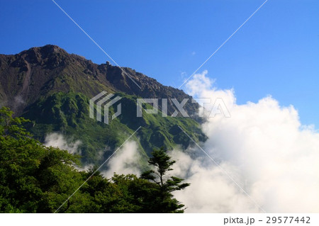 雲海の雲仙岳 雲海の雲仙岳 29577442