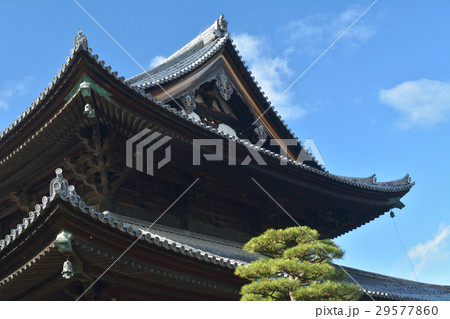 東福寺本堂 29577860
