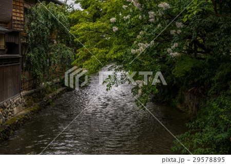 京都白川通り 29578895