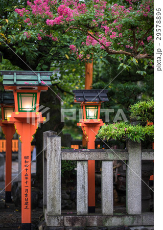 京都白川通り 29578896