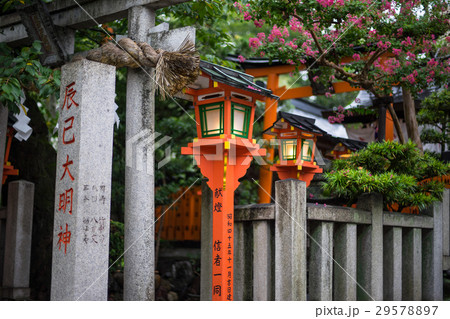 京都白川通り 29578897