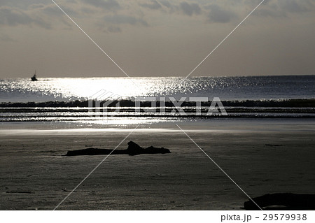 海 海 29579938