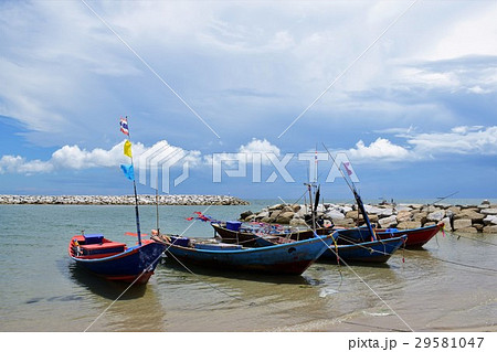 海沿い 海浜 砂浜 29581047