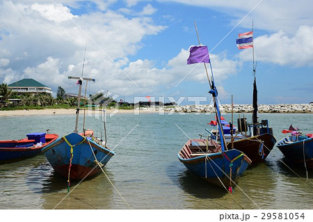 海沿い 海浜 砂浜 29581054