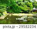 新緑の日本庭園 29582234