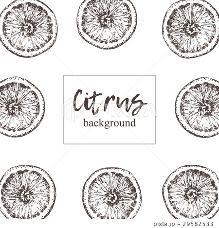 Frame of isolated hand drawn oranges in sketch Frame of isolated hand drawn oranges in sketch 29582533