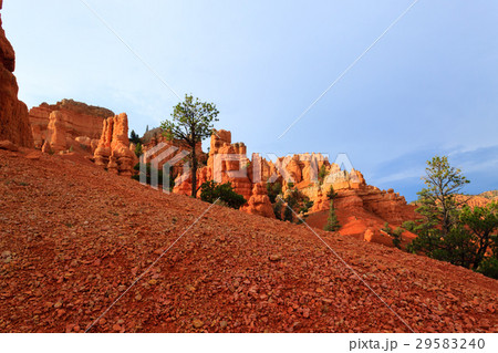 Red canyon panorama, Utah, USA Red canyon panorama, Utah, USA 29583240