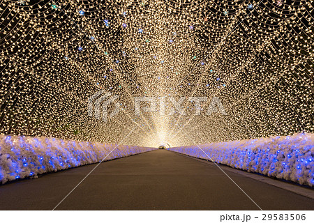 Nabana no Sato garden at night Nagoya. 29583506