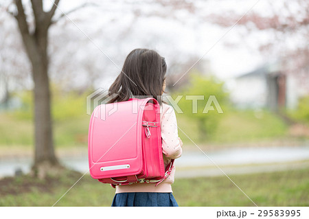 小学新一年生 桜 春 小学新一年生 桜 春 29583995