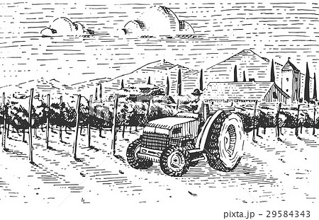 Vintage engraved, hand drawn vineyards landscape 29584343