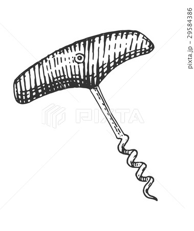 corkscrew isolated on white hand drawn engraved 29584386