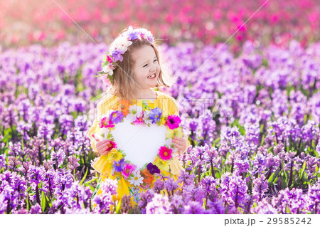 Little girl in hyacinth field 29585242