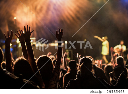 crowd at concert - summer music festival 29585463