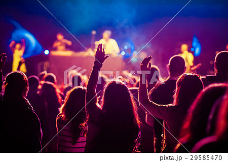 crowd at concert - summer music festival 29585470