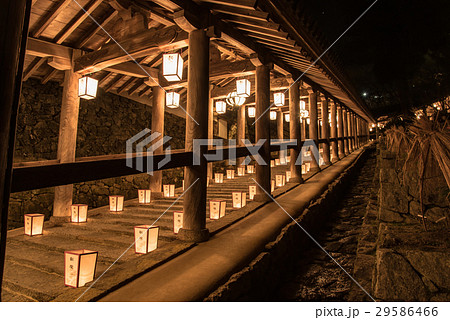 奈良　長谷寺　新年の回廊　観音万燈会 29586466