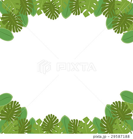 南国の植物 葉っぱのフレーム コピースペース 背景素材 背景透過png 白背景 ベクター 正方形のイラスト素材