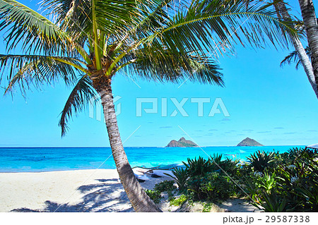 ハワイ ラニカイビーチ ハワイ ラニカイビーチ 29587338