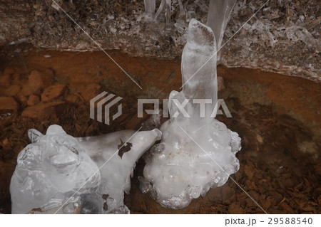 横谷峡の氷筍 29588540