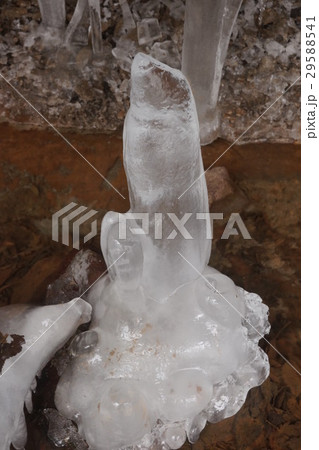 横谷峡の氷筍 29588541