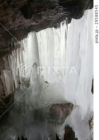 横谷峡の氷筍 横谷峡の氷筍 29588545