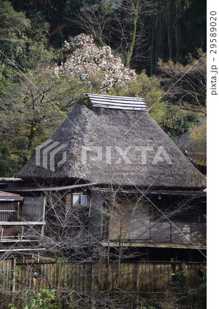 西郷どんゆかりの温泉郷(妙見温泉 鹿児島県) 西郷どんゆかりの温泉郷(妙見温泉 鹿児島県) 29589020