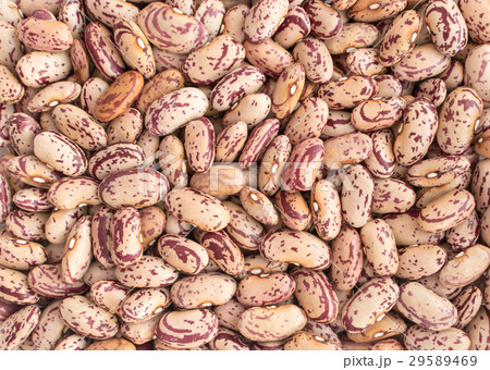 Dry Pinto Beans Background Dry Pinto Beans Background 29589469