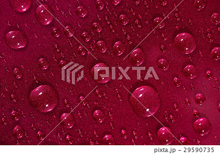 Water drops on the red surface Water drops on the red surface 29590735
