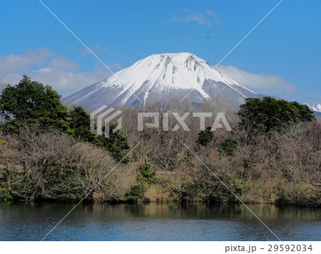 春の大山 29592034