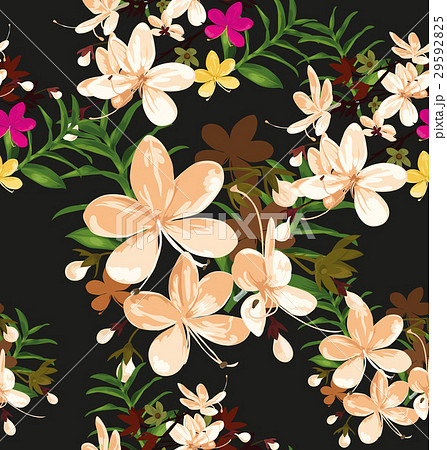 floral 29592825