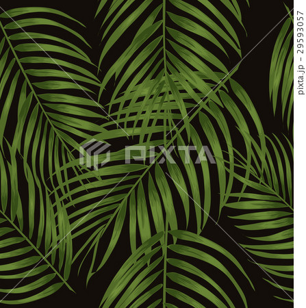 leaf leaf 29593057