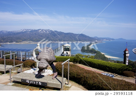 天橋立ビューランドからの天橋立 天橋立ビューランドからの天橋立 29593118