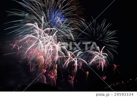 土浦の花火 29593334