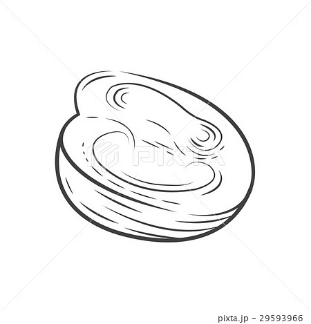 Cut half Tomato vector drawing 29593966