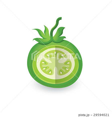 dissect Green Tomato 3D Icon 29594021