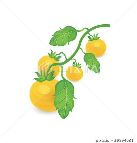 limb Tomato Yellow Color icon 29594031