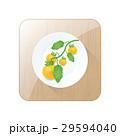 limb Tomato Yellow Color icon and button 29594040
