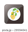 Tomato Yellow Color icon and button 29594041