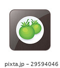 Green two Tomato 3D Icon  and button 29594046