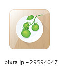 Green Tomato limb 3D Icon  and button 29594047