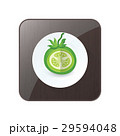 dissect Green Tomato 3D Icon  and button 29594048